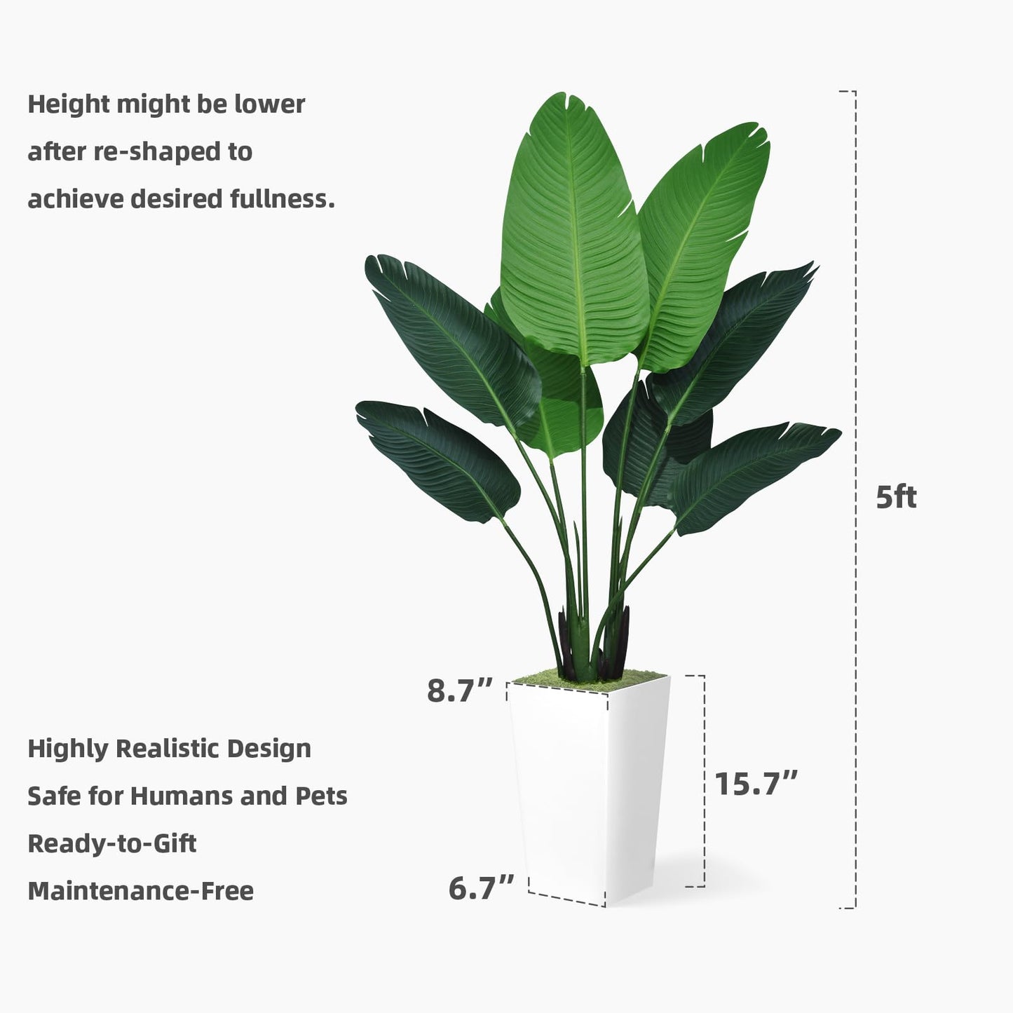 ASTIDY 5ft Artificial Bird of Paradise Plant – Faux Tropical Palm Tree with White Tall Planter for Indoor Home and Office Decor