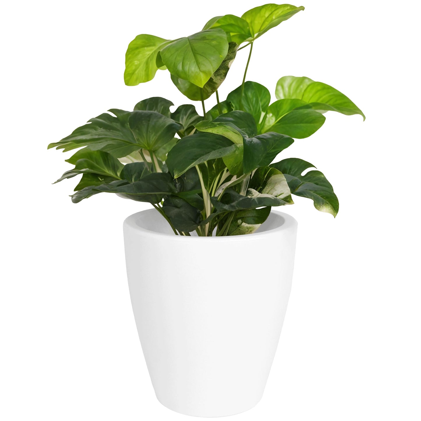 Elly Décor 12'' Large Round Plastic Planter with Drainage – Lightweight Indoor and Outdoor Pot, 12x12x7'', White